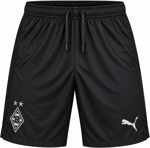Puma borussia mönchengladbach - puma,